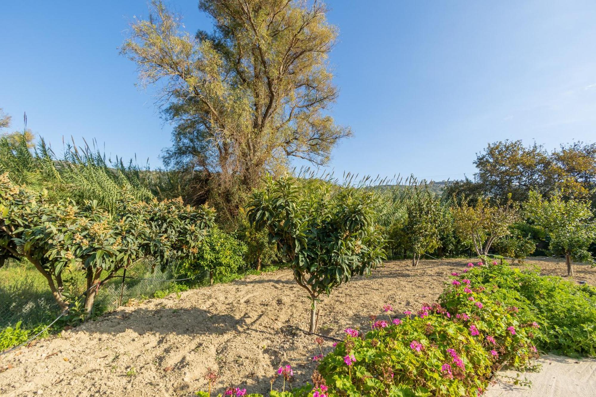 Villa Galateia Dhafnes Kamer foto